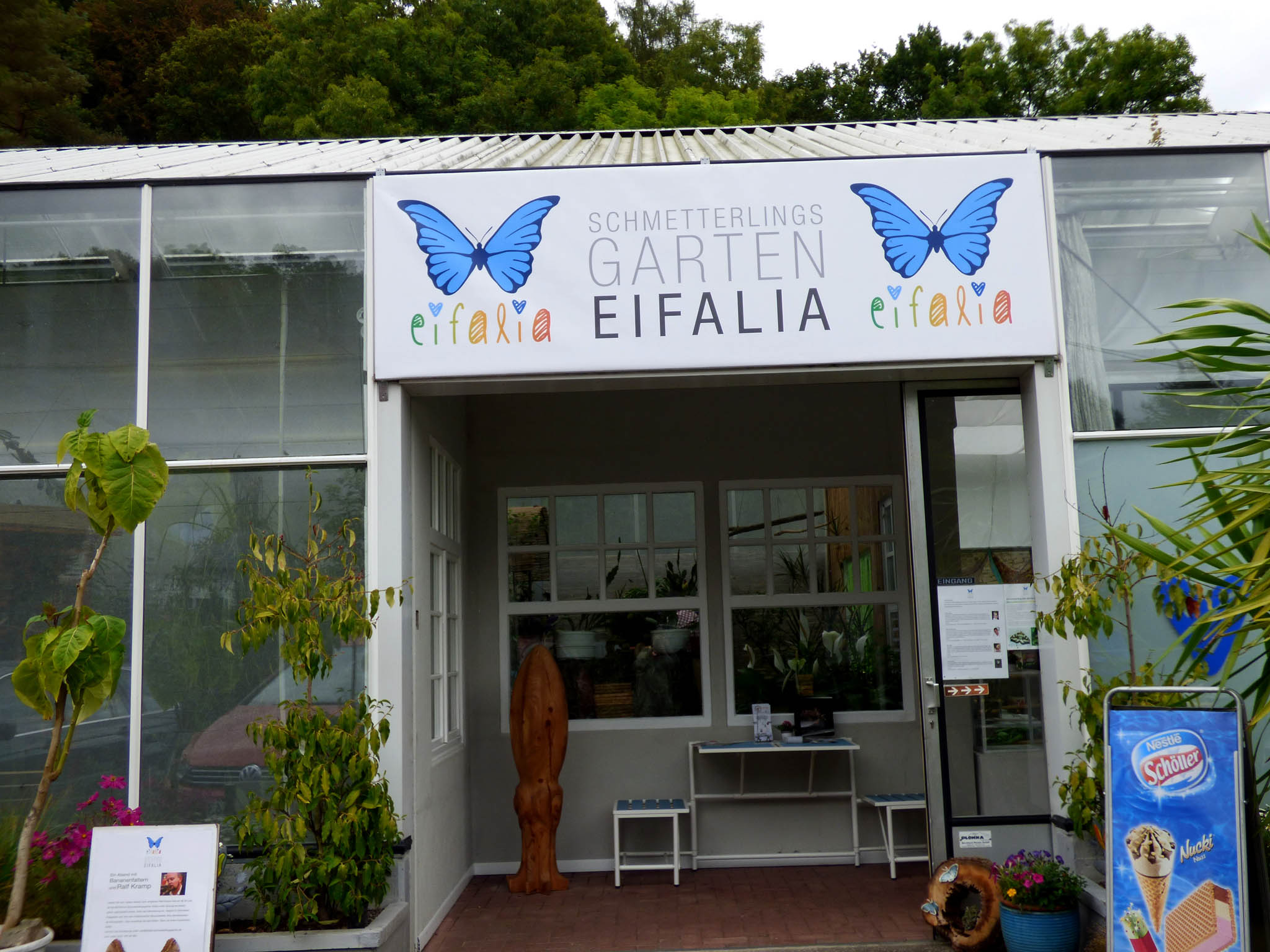Eifalia das Erlebnis in der Eifel. Schmetterlinge erleben